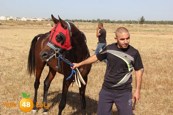 horse race 0602 (55).JPG